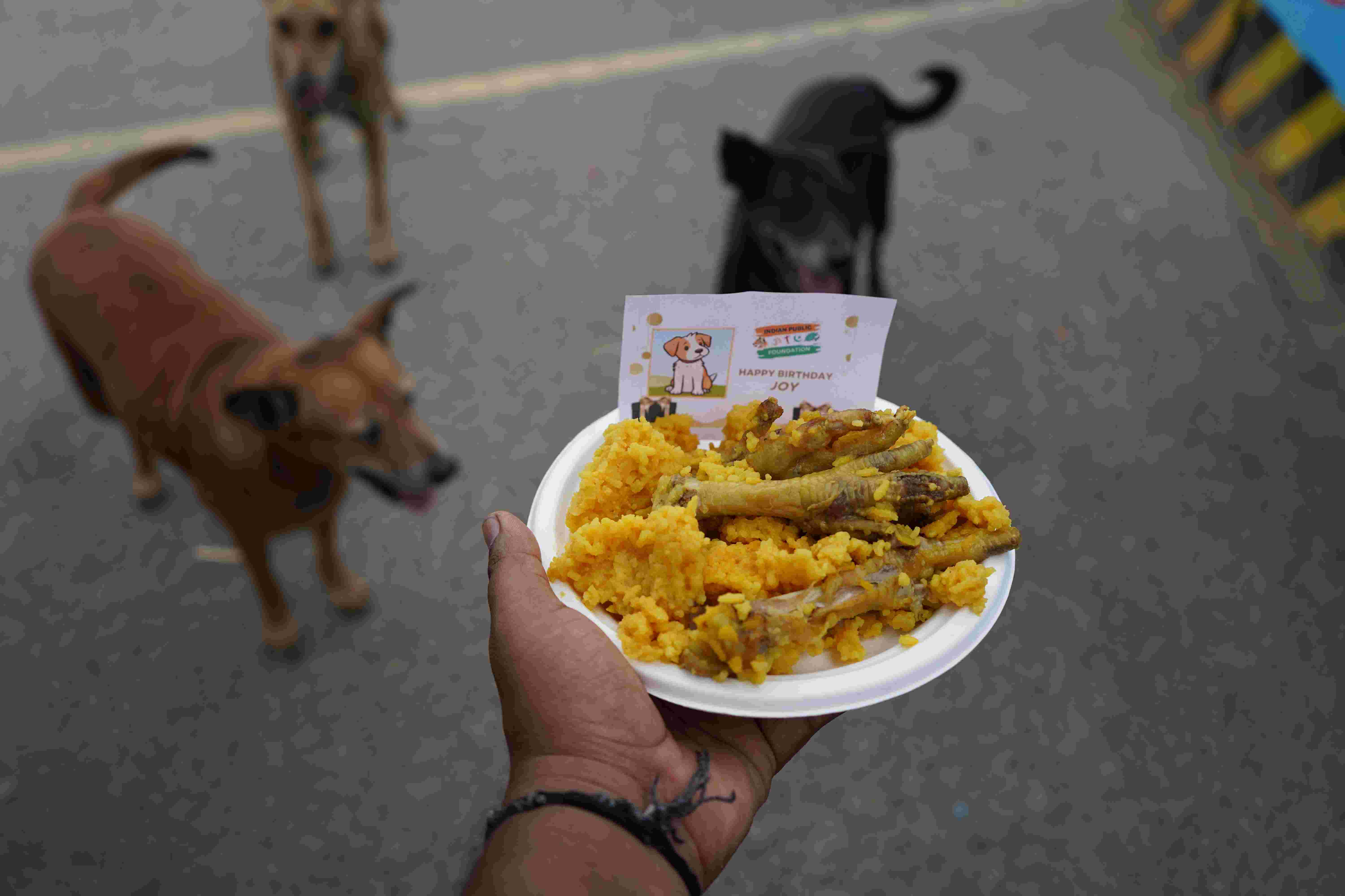 Nutritious Dog Food for Stray and Rescued Dogs